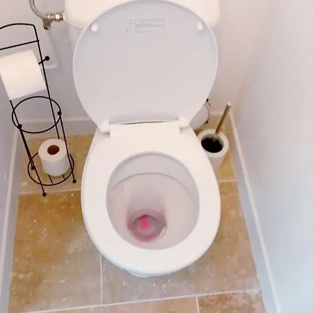 Topaze - En Plein Coeur De La 公寓